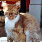 Alexandra Reilly Profile Picture