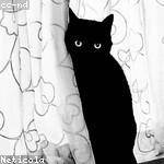 Alta Casper Profile Picture