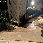 Shanie Ullrich Profile Picture