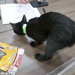 Pablo Zieme Profile Picture