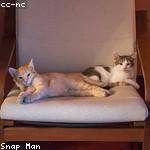 Kallie Schmeler Profile Picture