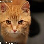 John Turner Profile Picture