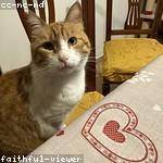 Shayna Ritchie Profile Picture