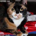 Jarrod Cruickshank Profile Picture