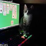 Milford Pfannerstill Profile Picture