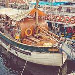 Geraldine Kohler Profile Picture