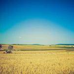 Maxwell Raynor Profile Picture