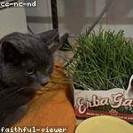 Kaleigh Howell Profile Picture