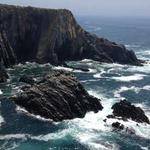 Howard Funk Profile Picture