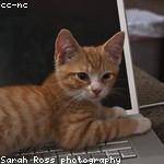 Wilton Vandervort Profile Picture