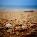 Otho Johnston Profile Picture