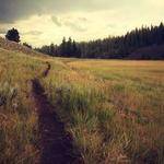 Gaetano Greenfelder Profile Picture