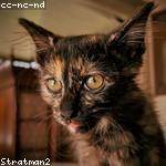 Jacky Wiegand Profile Picture