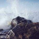 Mohammad Wiegand Profile Picture