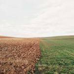 Wava Batz Profile Picture