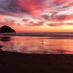 Shanny Smith Profile Picture