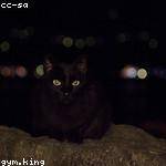 Jaiden Swaniawski Profile Picture