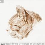 Eddie Rice Profile Picture