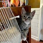 Kasey Hilpert Profile Picture