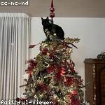 Clint Smith Profile Picture