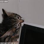 Junior Torphy Profile Picture