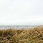 Clementine Ratke Profile Picture