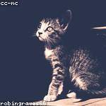 Georgiana Kohler Profile Picture