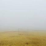 Brant Beatty Profile Picture