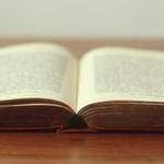 Cali Fadel Profile Picture