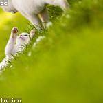 Marco Lang Profile Picture