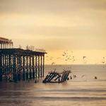 Shakira Pollich Profile Picture