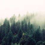 Susanna Ruecker Profile Picture