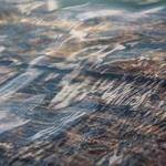 Marlen Boyle Profile Picture