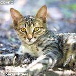 Citlalli Swift Profile Picture