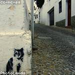 Mose Rice Profile Picture