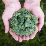 Retta Moen Profile Picture