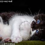 Valerie Kuphal Profile Picture