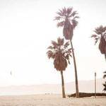 Ruby Ernser Profile Picture