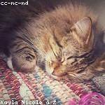 Renee Bailey Profile Picture