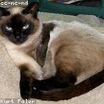 Lester Abernathy Profile Picture