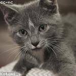 Jon Oberbrunner Profile Picture