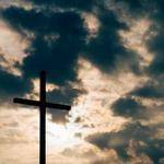 Marcel Sipes Profile Picture