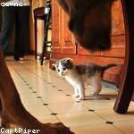 Jaunita Dickinson Profile Picture