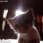 Kirsten Conroy Profile Picture