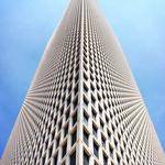 Tristin Rowe Profile Picture