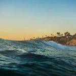 Josh Krajcik Profile Picture