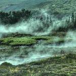 Freeman Tremblay Profile Picture