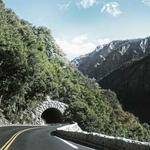 Frank Johnson Profile Picture