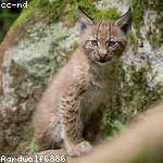 Mae Bednar Profile Picture