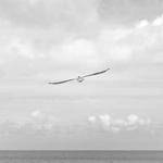 Morgan Windler Profile Picture